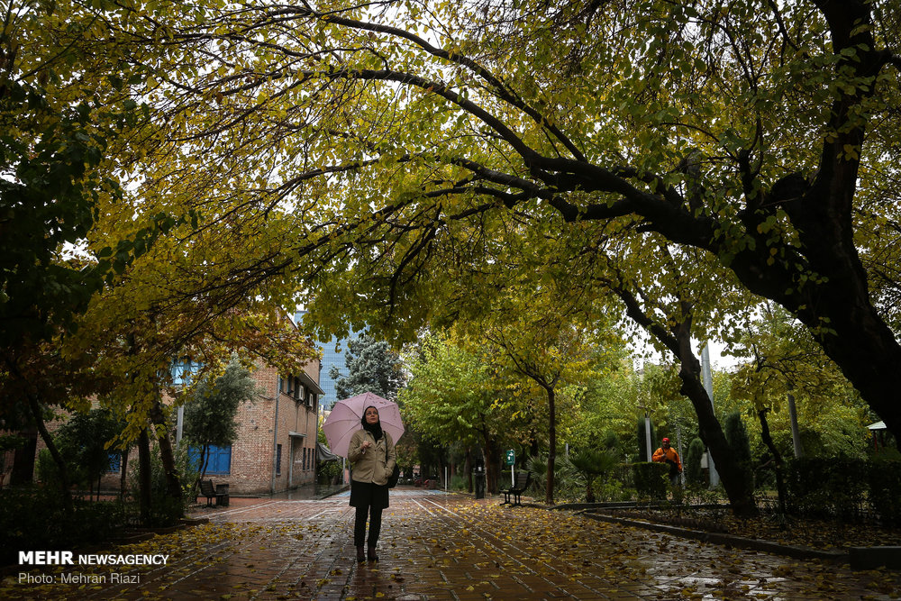 زیبایی‌های باران امروز تهران